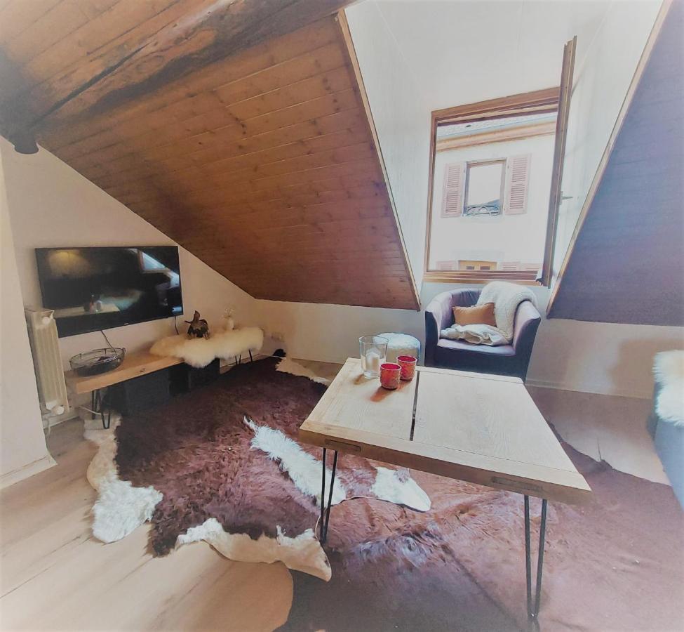 Chalet Charm In The Heart Of The Old Town Анси Экстерьер фото